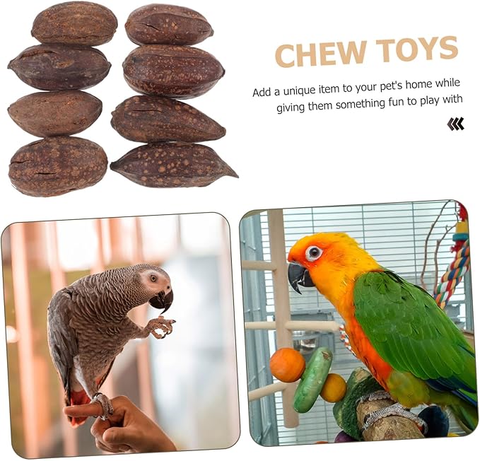 8pcs Natural Dried Fruit Parrot Chew for Birds Parakeet Cockatiel Foraging and Biting Healthy Mental Stimulation Bird Play