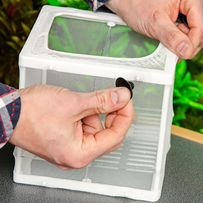 Hobby Nido 3.1, Ablaichbehlter, 16x16x14 cm, Plastic Fish Breeding Tank, Vivarium Brood Box