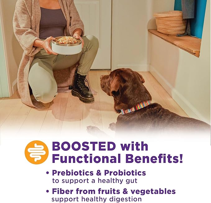 Wellness Bowl Boosters, Dog Food Topper for Small, Medium, & Large Breeds, Grain Free, Natural, Freeze Dried, Digestive Health Chicken, 4 Ounce Bag (Pack of 2)