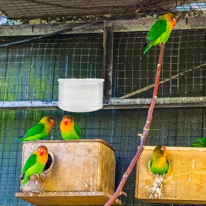 6pcs Pigeon Feeding Bowls with Watering Dish, Large Plastic Bird Cage Cups for Hanging Feeders, Suitable for Pigeon and Rabbit Cage Watering Supplies