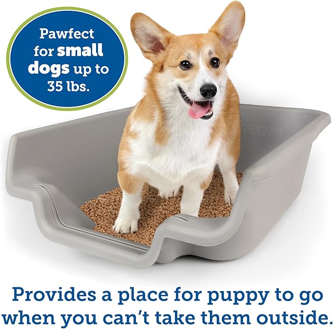 Dog Litter Box, Misty Gray Color, Extra Large Size, Durable & Pet Safe Puppy Litter Box, Indoor Open Top Entry Dog Litter Pan, Comfortable for Dogs, Great for Dogs up to 35 lbs