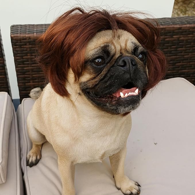 Dog Wig Pet Costumes, Cat Costume Synthetic Accessories Small Dog Headwear for Halloween Christmas Eve Festival Party Decor, Head Wear Apparel Toy (B)