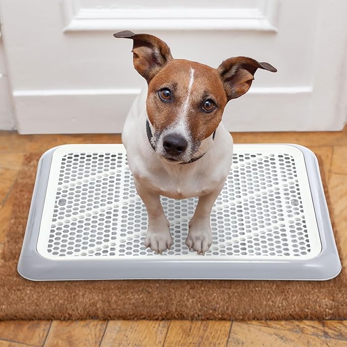 Mifoci 2 Pcs Dog Potty Tray Mesh Puppy Training Pad Holder Floor Protection Portable Pee Pad Pet Toilet Training Tray Litter Box Corner for Medium and Large Dogs (19.7 x 14.2 Inch,Gray)