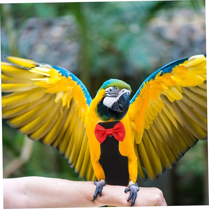 Bird Diaper Clothes Parrot Washable Nappies Overnight Diapers for Pet Birds Lightweight and Easy to Suit