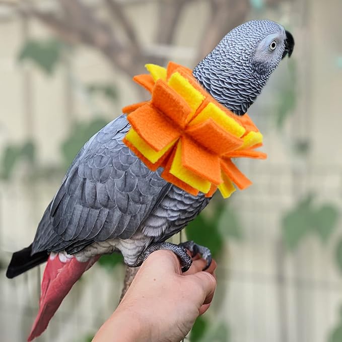 Neck Collar for African Grey Parrots Feather Plucking Bird Anti Bite Collar Neck Shield