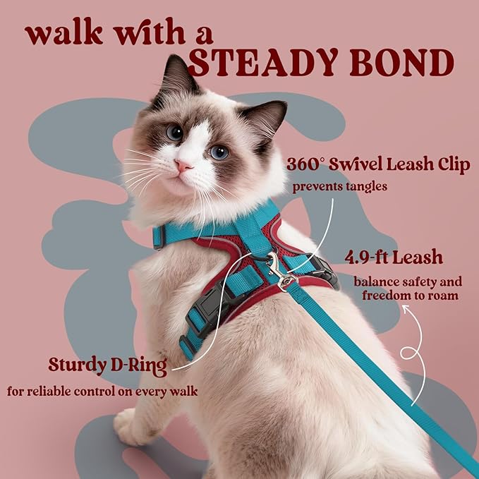 rabbitgoo Cat Harness and Leash for Walking, Escape Proof Soft Adjustable Vest Harnesses for Cats, Easy Control Breathable Reflective Strips Jacket, Red & Teal, S