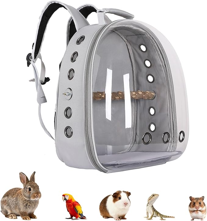 Transparent Parrot Backpack,12 Holes Ventilate Space Capsule Carrier,Stick Wooden Standing Perch,Portable Double Shoulder Outdoor Pet Backpack Carrier for Birds and Pets (Gray,with Stick)