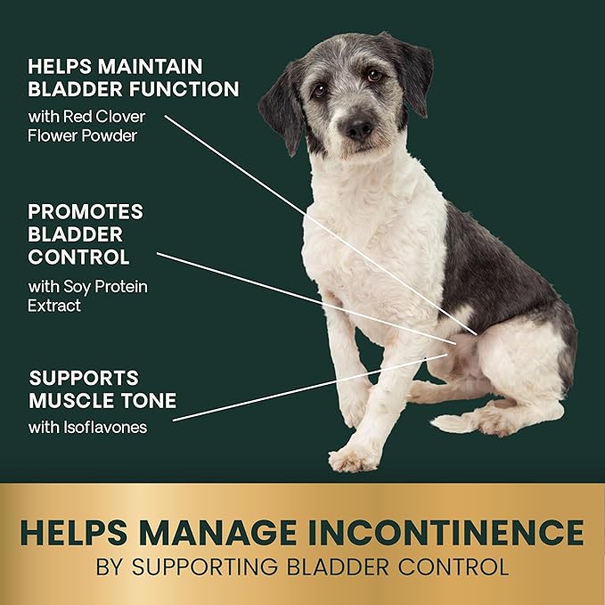VETRISCIENCE Bladder Health Chews, Vetri Bladder Supplement for Dogs, Incontinence Support, Reduce Urine Leakage and Overactive, Soy Protein and Red Clover, Chicken, 60 Count (Pack of 12)