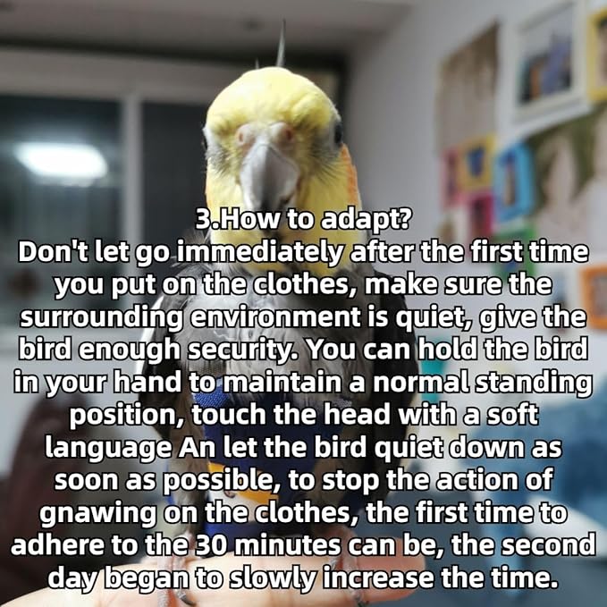 Bird Diaper Protective Parrot Nappy - 4 Pack, Reusable Flight Suit with Waterproof Inner Layer, Adjustable Shoulder Straps, Washable Cute Urine Wet Suit for Parakeet Conure (Macaw)