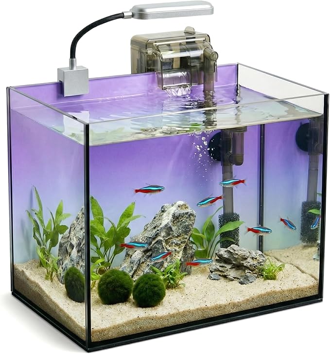 2.8 Gallon Glass Fish Tank with Filter LED Light Complete Betta Fish Tank Starter Kit for Small Aquarium Lovers, Rimless Freshwater Nano Tank with All Essentials Included