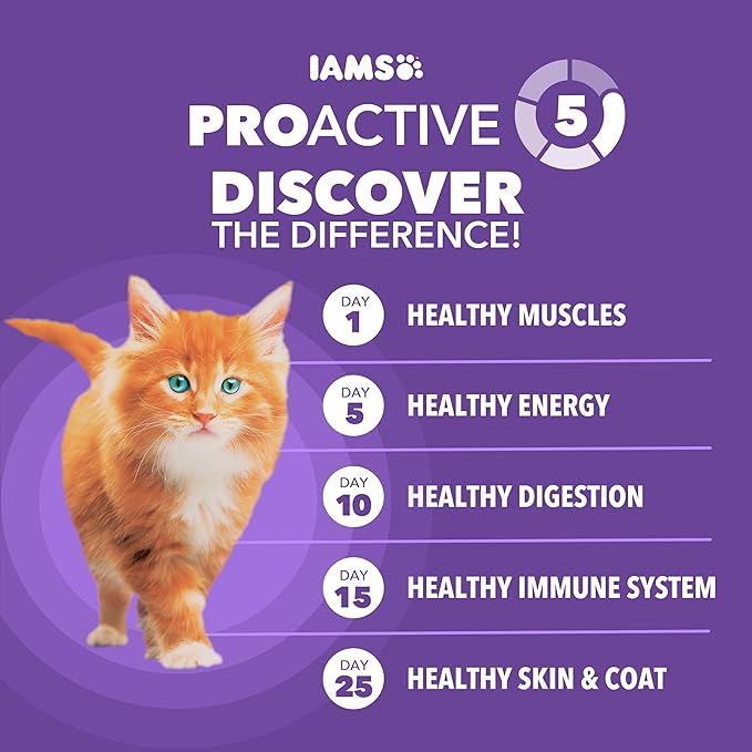 IAMS Proactive Health Kitten Dry Cat Food, Healthy Kitten Food Dry Recipe with Real Chicken in Every Bite, 3.5 Lb. Bag