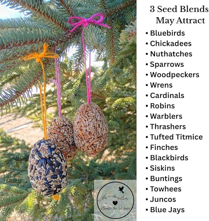 Birdseed Ornaments for Outside - Set of 3 for Wild Birds - Premium Quality - Wild Bird Treats - Egg-Shaped Hanging Birdseed Ornaments