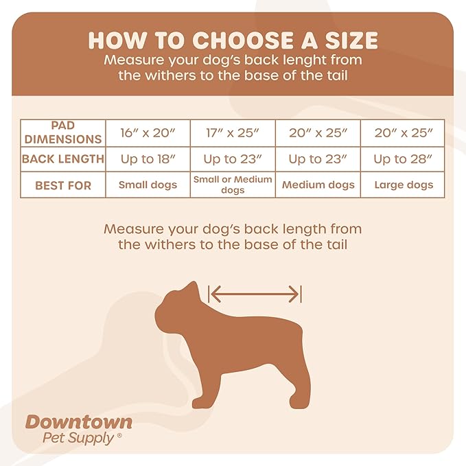 Downtown Pet Supply Dog Grass Pad with Tray, 16 x 20 - Outdoor and Indoor Potty System for Dogs with Replaceable Synthetic Grass Pee Turf - Portable and Waterproof Turf Dog Potty