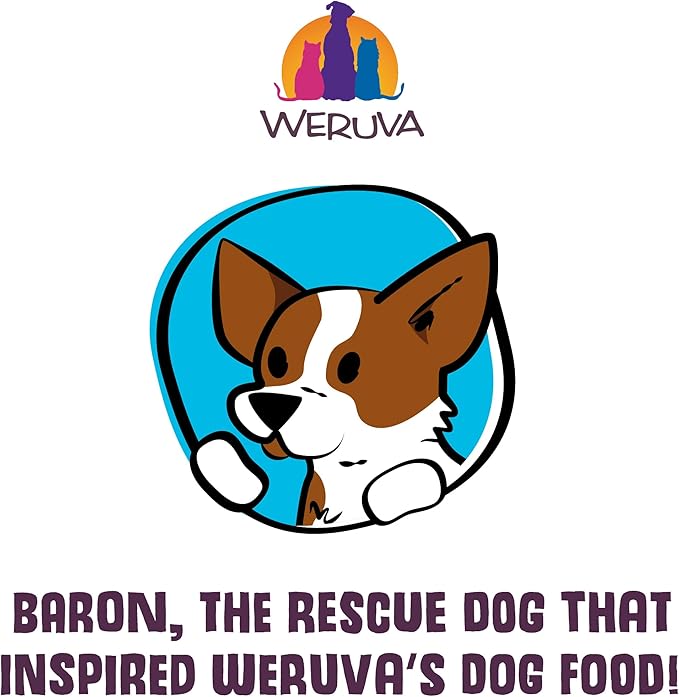 Weruva Classic Dog Food, Bed & Breakfast with Chicken, Egg, Pumpkin & Ham in Gravy, 5.5oz Can (Pack of 24), Blue