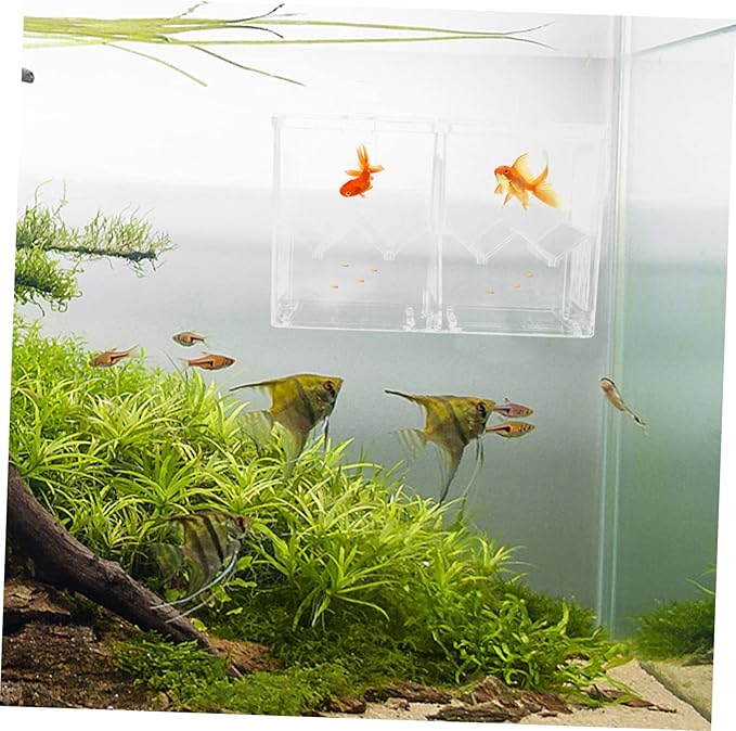 YARNOW 1pc Fish Tank Hatching Incubator Dual Isolation Box for Breeding Fish Plastic Aquarium Accessory Hook Mode for Guppies Shrimp