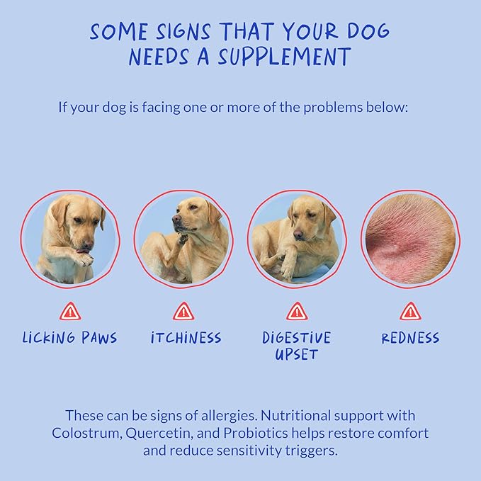Allergy Support for Dogs - with Vitamin C, Omega 3 and Colostrum - Itch Relief, Allergy Relief for Dogs, Skin Soother - with Probiotics for Immune System Health (Soft Chews)