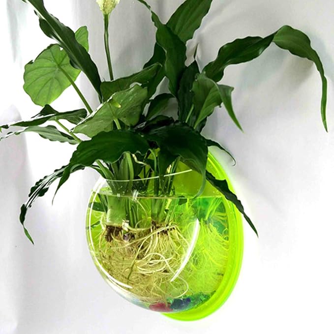 Transparent Wall Mounted Fish Tank 7.68In Hanging Aquarium Bowl for Home Decor Space-Saving Clear Acrylic Fish Aquarium and Plant Display