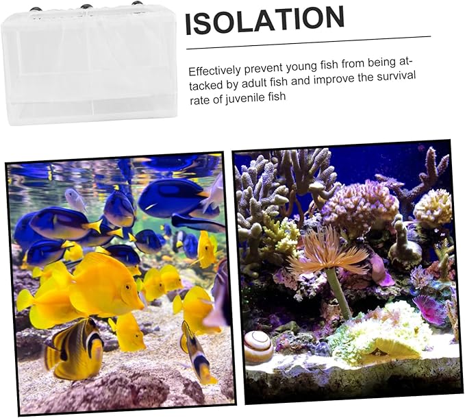 Fish Isolation Box Fish Breeding Tank Fine Mesh Design for Hatching and Spawning Aquariums