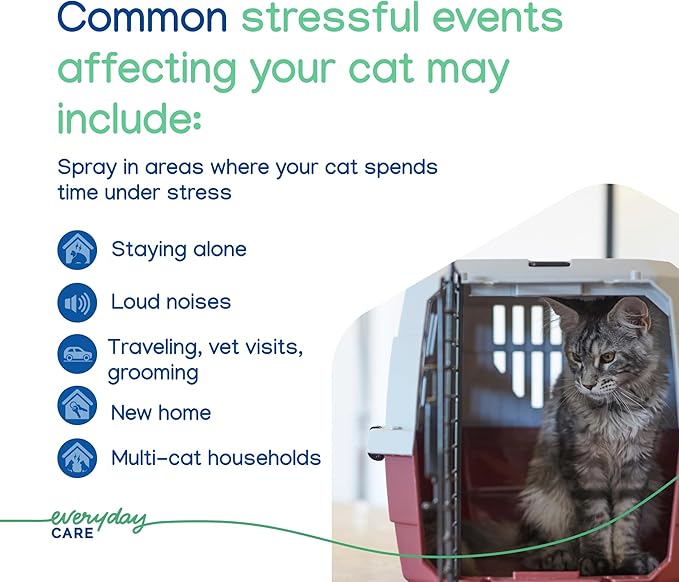 Virbac ZENIFEL™ Spray | Managing Stress-Related Behaviors in Kittens & Cats | Quick-Acting - Ideal for Unexpected Stressful Situations