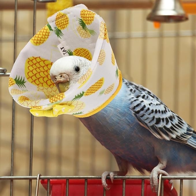 SUPVOX Parrot Collar Anti-Biting Bird Cone Collar for Plucking Protection Lightweight Comfortable Recovery Ring 6.69X3.54In