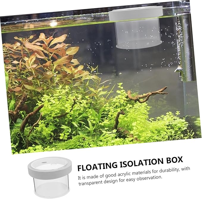 BESPORTBLE Floating Fish Isolation Box Durable Acrylic Aquarium Breeding Box for Fish Hatchery Easy to Clean and Use No Suction Cups Required Transparent Design for Observation