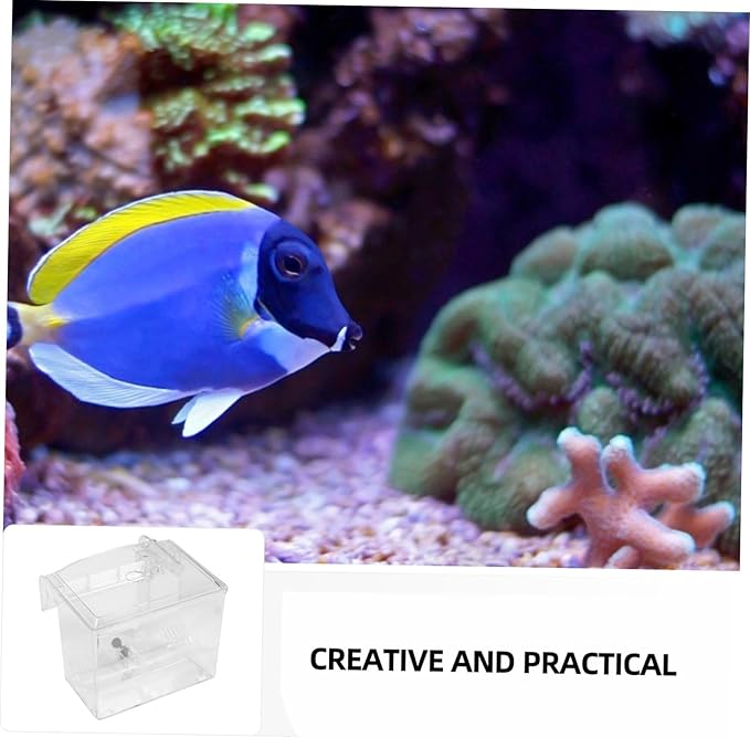 BESPORTBLE 1Pc Aquarium Breeding Box Hanging Fish Isolation Incubator for Breeding Lightweight Design for Fish Shrimp and Turtles