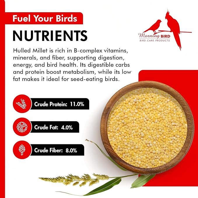 Morning Bird Hulled Millet 1.5 lbs – Nutritious Hulled Millet Seed - Waste Free - No Mess - Easily Digestible with High Fiber, Rich in Vitamins & Minerals for Birds, Ideal Bird Feed for All Bird Types