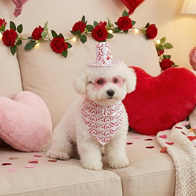 3 Pcs Valentine's Day Pet Costume Set Cat Bandna Hat and Sunglasses for Small Medium Dogs Party Outfits (Pink)