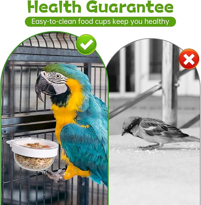 6 Pcs Detachable Transparent Bowl Plastic Bird Feeder Bowl Convenient Hanging Seed Water Cup Small Bird Parrot Food Cup for Parrot Canary Finch Small Birds