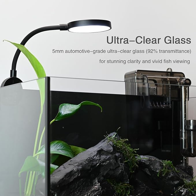 Fish Tank,2.8 Gallon Small Aquarium Kit,Glass Small Fish Tank,Betta Fish Tank with Light and Filter, Small Transparent Glass Fish Tank with Light and Filter