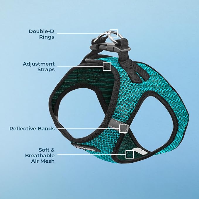 Best Pet Supplies Voyager Step-in Air Harness - All Weather Mesh, Reflective, No Pull Harness for Dogs, Cats - Secure with Hook & Loop Fastener, Buckle, Double D-Rings - Turqupise 2-Tone, S