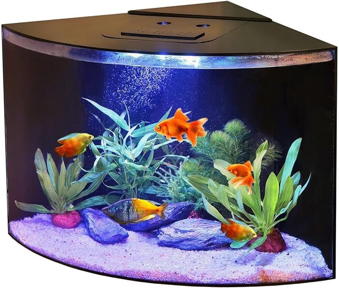Aquabubble - Acrylic Corner Fish Tank 12,5 Gallon-Corner Aquarium for Goldfish,Betta Fish -Large Triangle Acquarium Bowl-Built-in Pump Filter,LED Lighting & Bluetooth App Control -No Stand Included