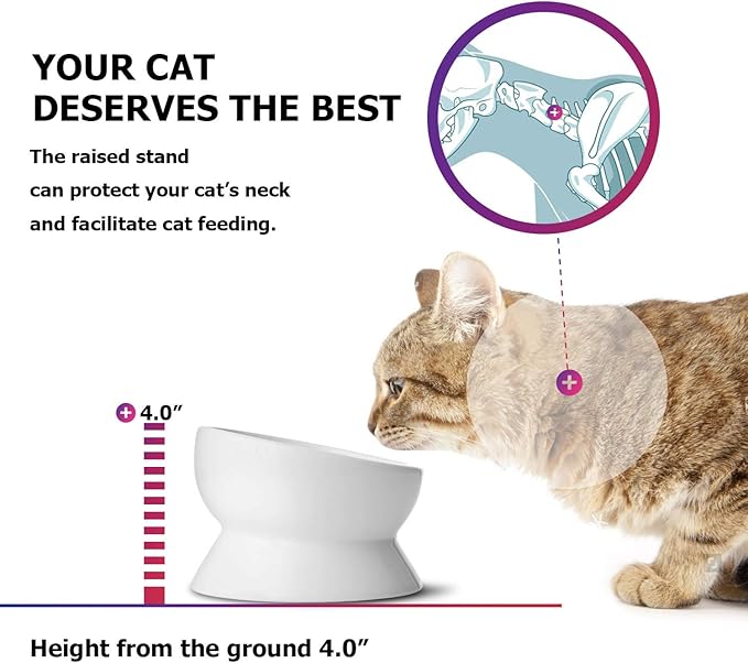 Y YHY Elevated Cat Food Bowl, Raised Food and Water Bowl for Cat and Small Dog, Tilted Ceramic Water Bowls No Spill,15oz, Dishwasher Safe
