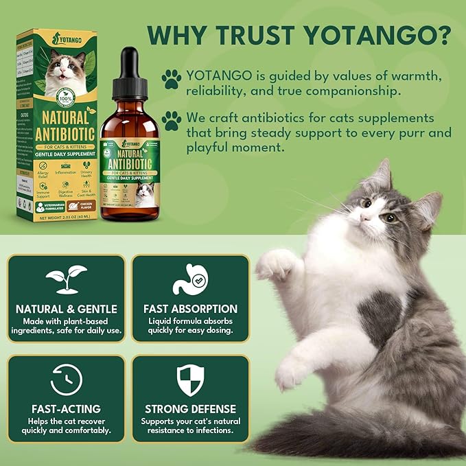 YOTANGO Natural Antibiotics for Cats, Cat Antibiotics for UTI & Itch Support, Immune, Digestive, Allergy, Skin & Coat Support for Cats and Kittens, for All Ages & Breeds (Chicken Flavor-60ml 2 Pack)