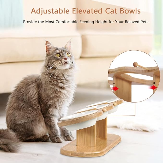 Elevated Cat Bowls, 2 Heights Adjustable Raised Dog Bowl Stand, 3 Ceramic Bowls for Cats and Small Dogs, 15° Tilted