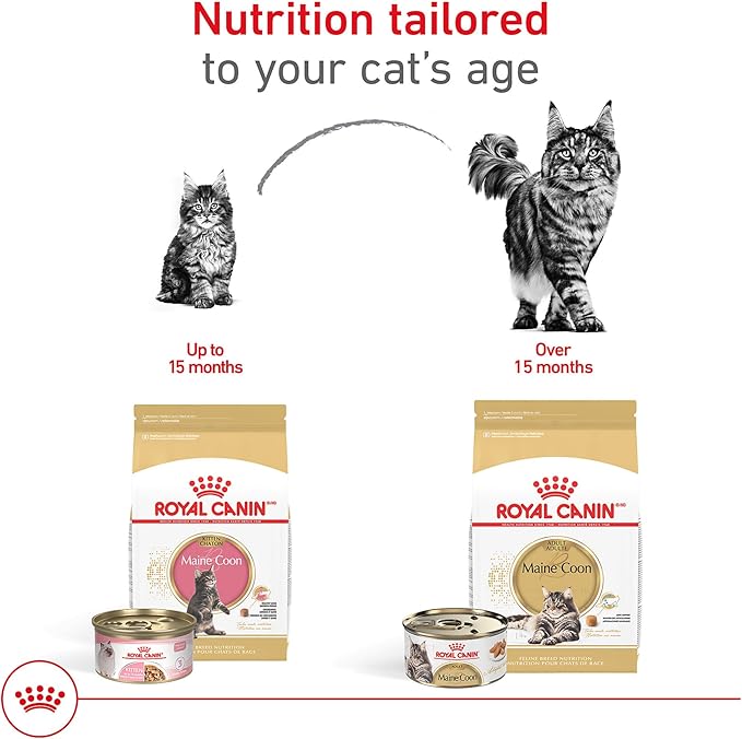 Royal Canin Feline Breed Nutrition Maine Coon Adult Dry Cat Food, 14 lb Bag