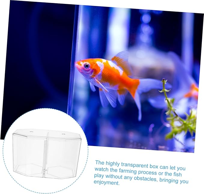 BESPORTBLE Fish Breeding Box Cups Transparent Divider Tank for Guppies Bettas Clownfish Safe Hatchery for Fry Isolation and Increased Survival Rate