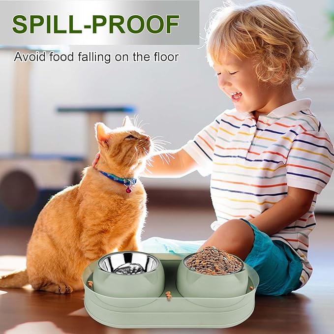 Elevated Raise Tilted Cat Food Bowls,with Stand Stainless Steel, Anti Vomiting, Double Cat Food and Water Bowl Set (Green)