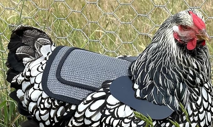 DOWN UNDER OUTDOORS 2 Pack Small Chicken Saddles for Bantams and Young Birds, Includes Shoulder Covers (Grey Mesh)