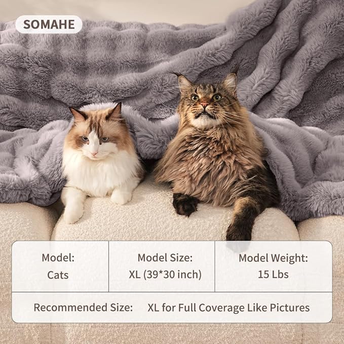 Self-Warming Cat Blanket for Indoor Cats & Small Dogs, Dual-Side Sherpa Plush Throw, Anti-Static Shared Couch Mat for Crate & Travel, Machine Washable No Shrink, 28x22 Inch Gray