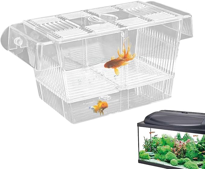 1/2 Fish Acclimation Box - Acrylic Hatchery Incubator Tank, Fish Breeder Box with 2 Suction Cups | Easily Install Breeding Isolation Box, Floating Breeding Box for Baby Fishes Shrimp Betta Guppy