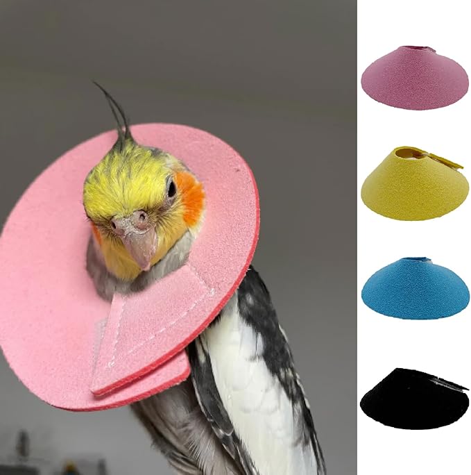 4 Pcs Bird Cone Collar, Pet Parrot Anti-bite Elizabethan Collars, Bird Collars for Feather Plucking for Lovebird Budgerigar Cockatiel Cockatoo Parrots (Mix Colors)