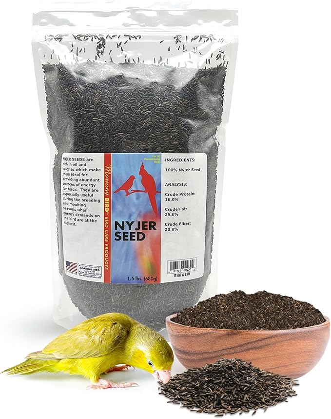 Morning Bird Nyjer Seed for Birds 1.5 lbs – Energizing Nutrition with Rich Natural and Healthy Fats – Ideal Bird Food for Breeding & Molting – Great for Canaries, and Other Seed-Eating All Birds