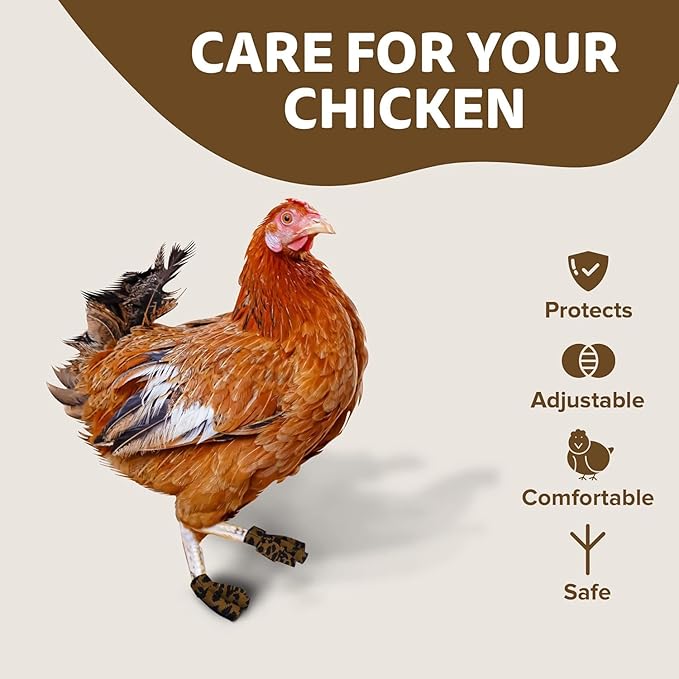 Chicken Shoes for Injured Feet – Protective Neoprene Footwear for Chicken, Open-Toe Design for Bumblefoot Relief, Made in USA (Chicken Shoes, Leopard, Medium Chickens)