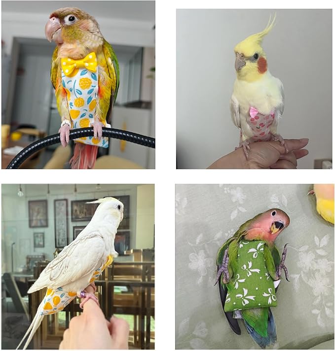 Bird Diaper Flight Suit, 3-Packs Lightweight Reusable Washable Elastic-Straps Parrot Clothes for Peony/Monk Parakeet, Prevents Poop Leaks & Feather Pecking (Bow+Lemon+Cherry, L)
