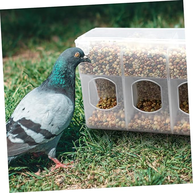 Mipcase 2pcs Bird Feeding Watering Supplies Pigeon Feeder Hanging Bird Feeder Sift Bowl Easy to Use and Install for Backyard Birding