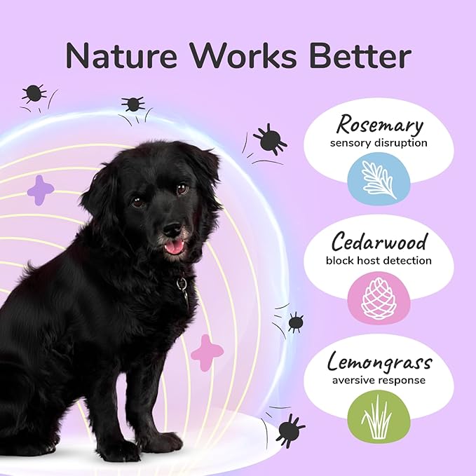 kin+kind Plant Based Flea Spray for Dogs and Cats – Essential Oil Formula with Lemongrass – Flea and Tick Prevention for Cats, Kittens, Puppies & Dogs - Pet Supplies - Family Safe – 12 fl oz