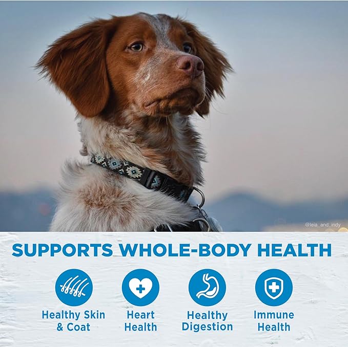 Wellness Simple Limited Ingredient Small Breed Adult Dry Dog Food, Grain Free Kibble, Sensitive Stomach, Skin & Coat Support, Natural, Chicken Free, Salmon and Potato Recipe, 10.5 lb Bag