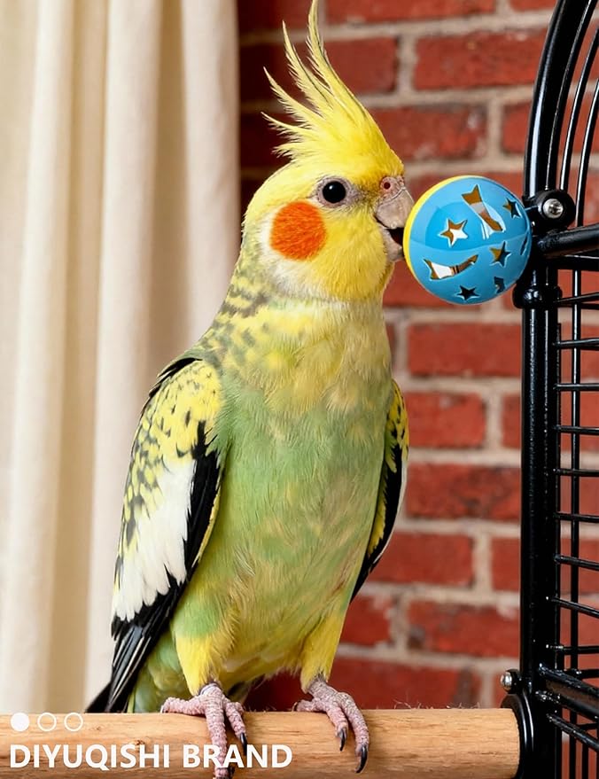 5-Pack Bird Toys for Parrots, Parakeets - Colorful, Safe, Fun for Big & Small Birds, Chase Toys Wildly (1.5'' - 2.8'')