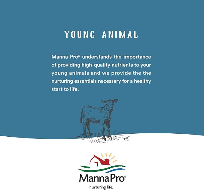 Manna Pro Chicken Feed | 16% Chicken Food with Probiotic Pellets, Layer Feed | 16 lbs (Pack of 2)